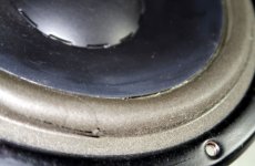bass tear.jpg
