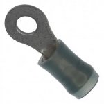 ringy.jpg