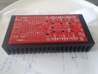 module 5.jpg