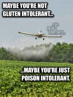 gluten.jpg
