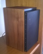 tw cone and 100mm midwoofer.jpg