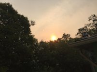 IMG_3769.jpg