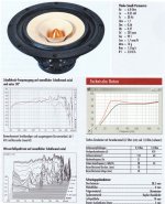 Tangband_W8-1808sm.jpg