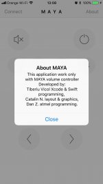 AboutMaya.jpeg