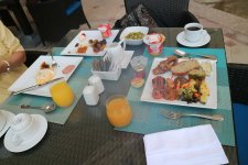 IMG_2390.jpg