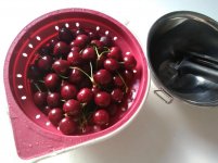 IMG_20170715_154114.jpg