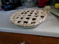 IMG_20170715_173029.jpg