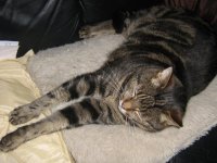 resize_img_0284.jpg
