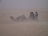 sahara_small.jpg