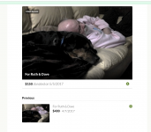 Screen Shot 2017-05-05 at 17.28.29.png