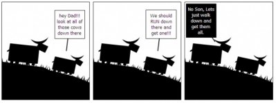 OLD BULL YOUNG BULL.jpg