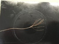 1-10 wire.JPG