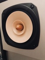 Fostex FE206E Wooden Phase Plug.jpg