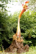 Triffid.jpg