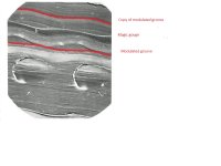 plate 5 markup.jpg