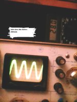 AMP.jpg