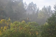 DSC_0326.jpg