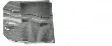 Side_by_side LD composite.jpg