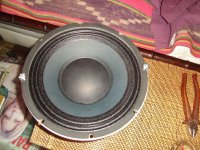 DSC00195.JPG