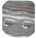 SEM scale marked up.JPG