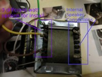 OrginalSpeaker100vTransferConnections_IMG_6796.jpg