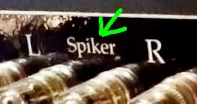 Spiker.JPG
