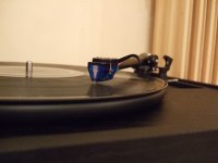 DSCF2856.JPG