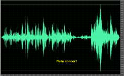 flute_concert.PNG