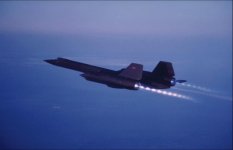 Blackbird.jpg