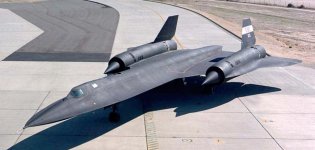 Blackbird2.jpg