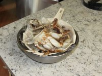 IMG_0790.jpg