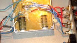 Brian Audio Power Amp potted module.JPG