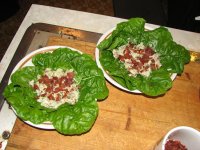 IMG_1335.jpg
