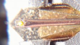 20171203_085953.jpg