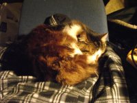 DSCF6073.JPG