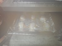 DSCN9105.jpg