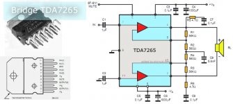 Bridge 50W TDA7265.jpg