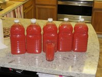 IMG_0806.jpg