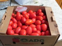 IMG_1030.jpg