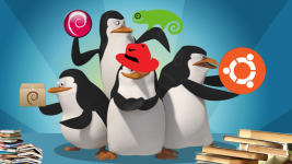 linux penguins.png