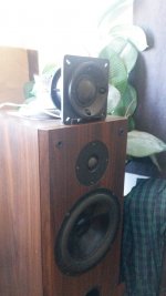 20170917_152837.jpg