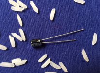 grains_of_rice.jpg