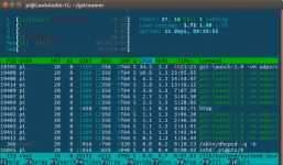 htop_GSASysCon_Pi3.png