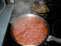 DSCN3046.jpg