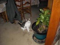 DSCN3048.jpg