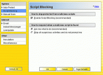 norton specific script blocking  b.gif