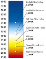 color%20temp%20chart.jpg