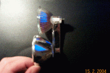 dcp_2136.gif