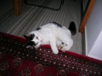 DSCN4236.JPG