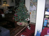 DSCN4235.JPG